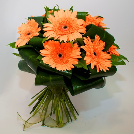 Bouquet Gerbere Oro/Arancio