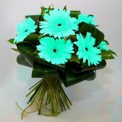 Bouquet Gerbere Bianche