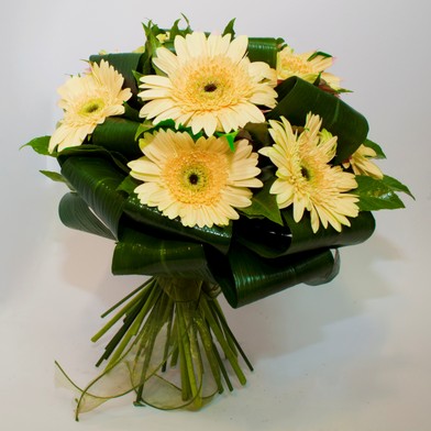 Bouquet Gerbere Gialle
