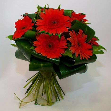 Bouquet Gerbere Rosse